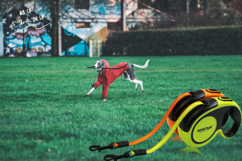 酷迪宠物用品|狗狗的适量运动时间有多长？