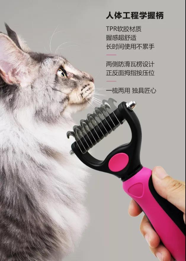 酷迪宠物用品|猫咪可以吃甜的东西吗？