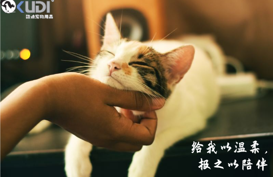 酷迪宠物用品