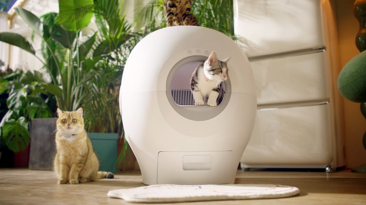Smart Cat Toilet.jpg