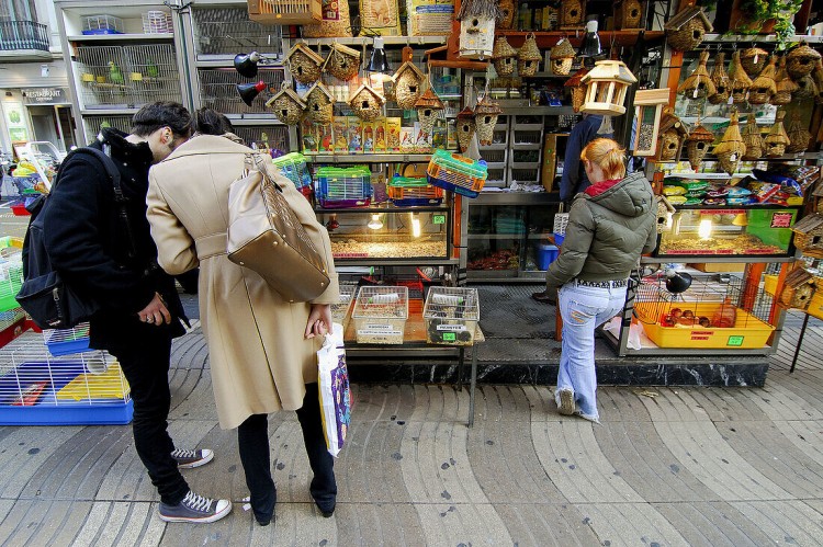 pet market Barcelona.jpg